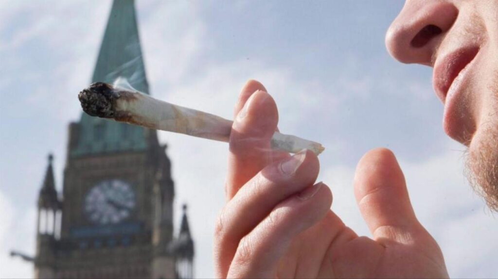 ماری‌جوانا شاه‌دانه گزارش کامل قانونی شدن آن در کانادا