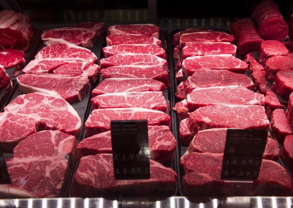 صادرات گوشت گاو و خوک کانادا