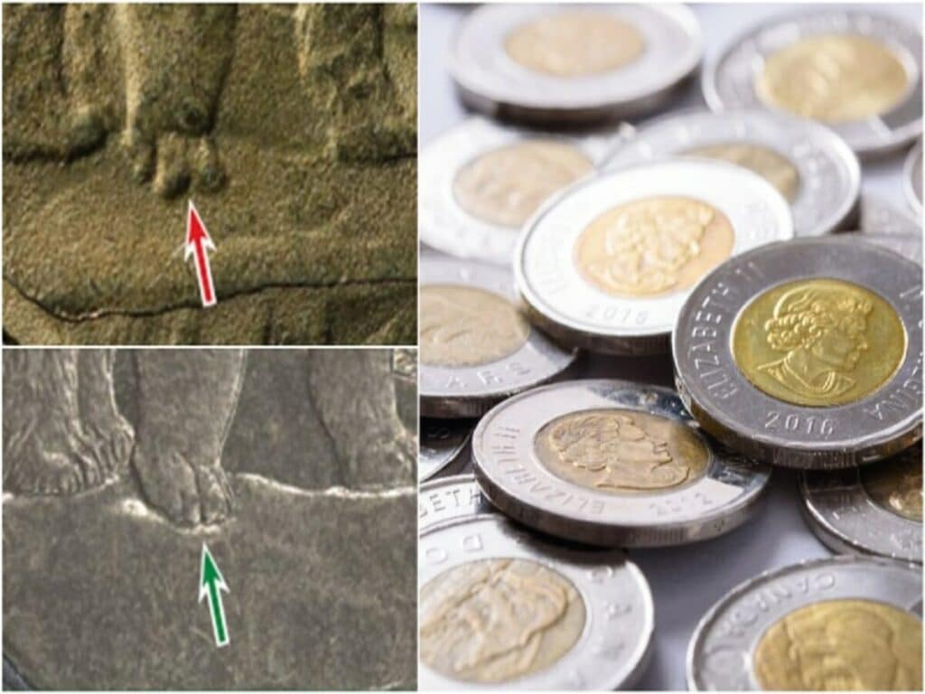 هزاران سکه دو دلاری تقلبی در کانادا کشف و ضبط شد / اگر پول تقلبی دریافت کردیم چکار کنیم؟
