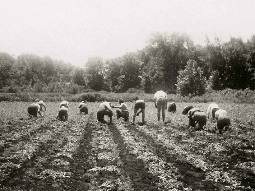 داستان باورنکردنی قهرمانان فراموش شده، زنان کشاورز در جنگ کانادا