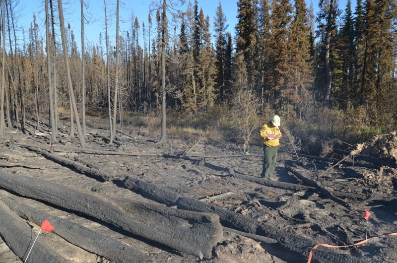 چه کسی پاسخگوی آتش‌سوزی‌ های جنگلی فعلی کاناداست؟