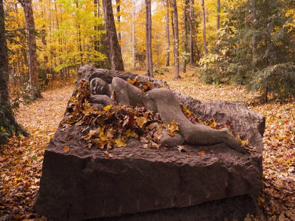 جنگل مجسمه‌های هالیبرتون؛ اکتشاف هنر در آغوش طبیعت
