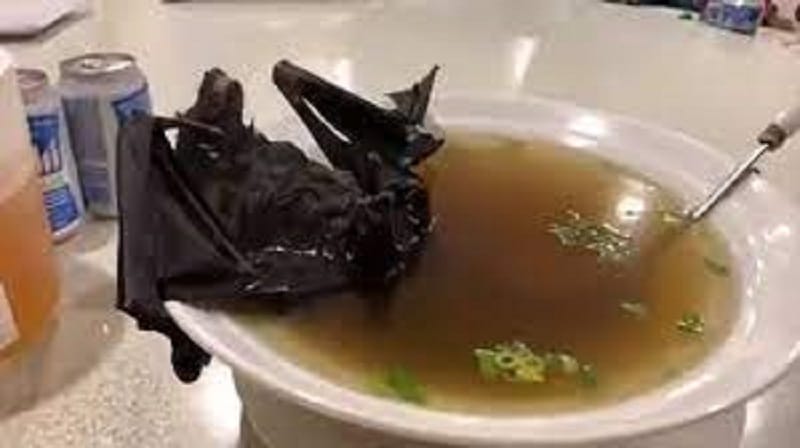 سوپ خفاش