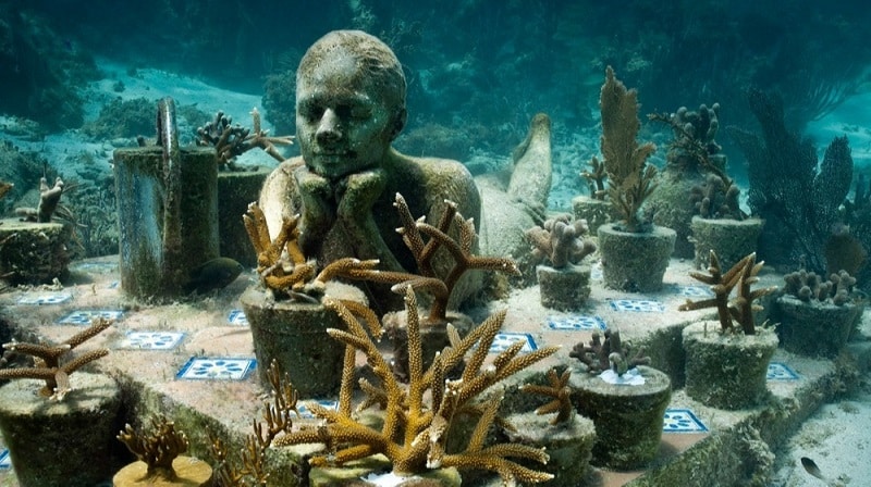 تصاویری از نمایشگاه‌ زیر آب