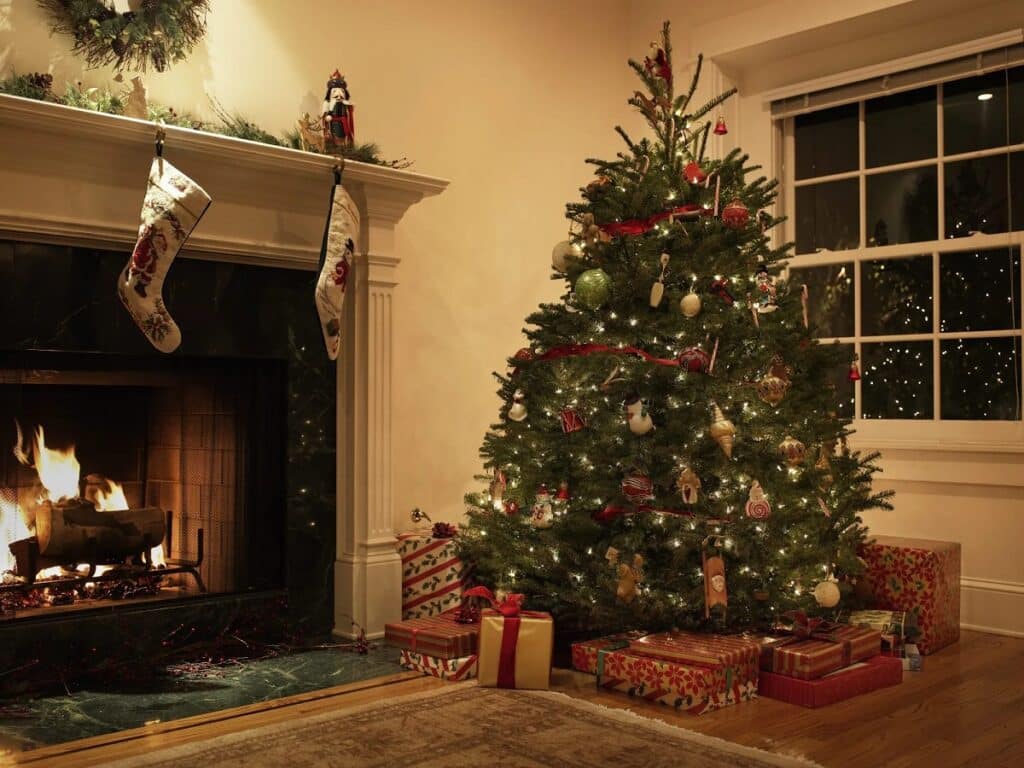 مراکز عرضه درخت کریسمس طبیعی در ادمونتون در سال ۲۰۲۳ معرفی شد