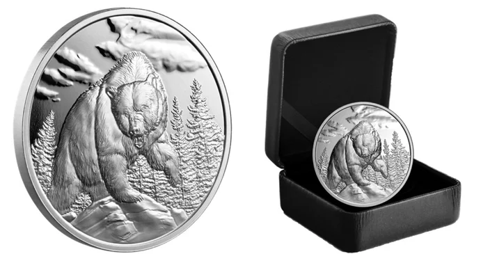خرس گریزلی؛ جدیدترین نماد طراحی شده بر روی سکه های کانادا