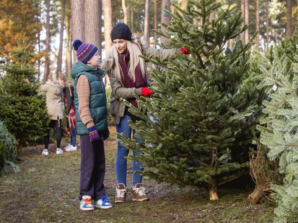 درختان کریسمس طبیعی روی هوای داخل خانه تأثیر می‌گذارند