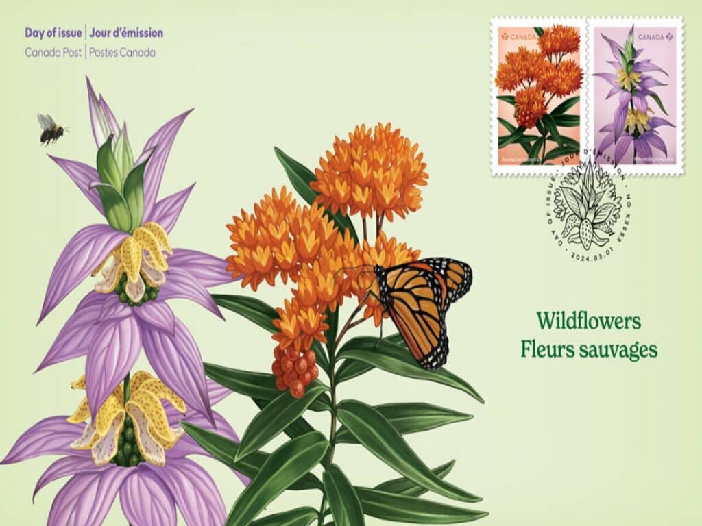 رونمایی از گل‌های وحشی مجموعه تمبر‌های جدید پست کانادا + عکس