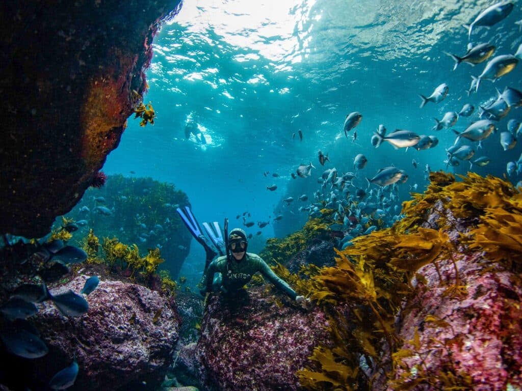 سرمایه‌گذاری دولت کبک بر روی تنوع زیستی در مناطق حفاظت شده دریایی