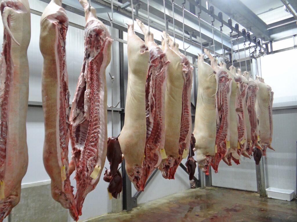 هشدار برای مصرف گوشت ­گاو و گوسفند از کشتارگاه شاوویل صادر شد