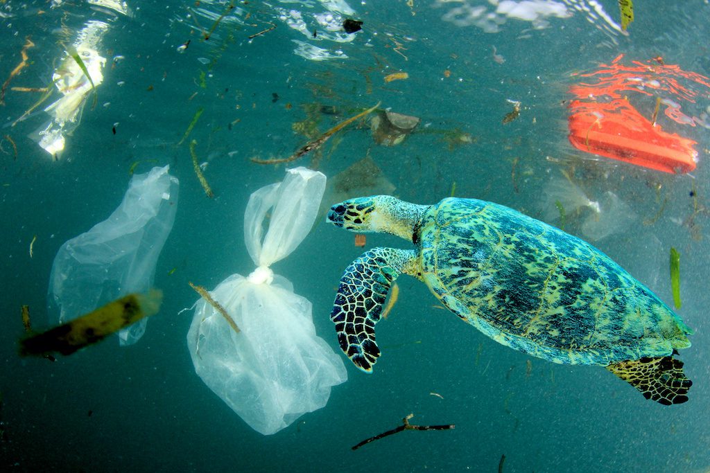 آلودگی پلاستیک تا سال ۲۰۴۰ به پایان می‌رسد؟