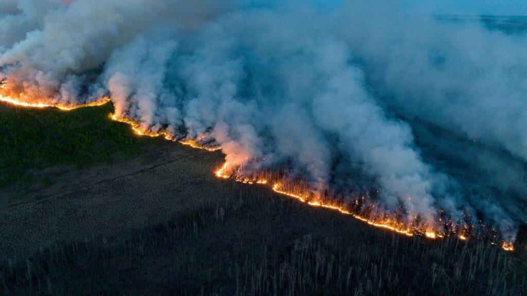 چرا کانادا شاهد آتش‌سوزی‌های جنگلی متعددی است؟