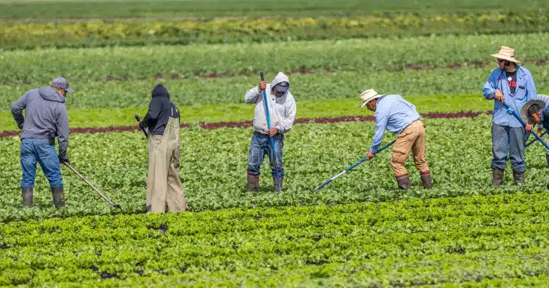 سیاست‌های مهاجرتی کانادا در سال ۲۰۲۵؛ هرآنچه که باید بدانید