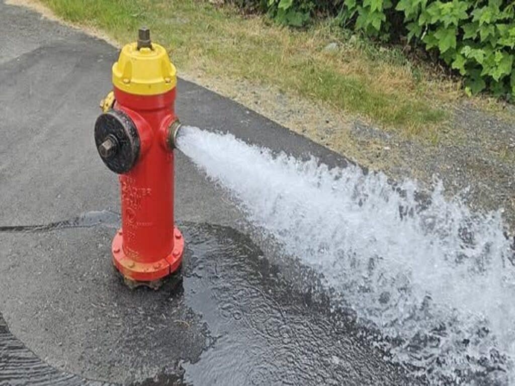 شهردار کبک به دنبال سارقان آب!