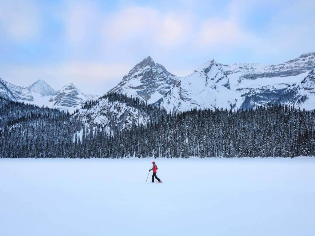 چرا فصل زمستان بهترین زمان برای سفر به کانادا است؟ چرا فصل زمستان بهترین زمان برای سفر به کانادا است؟