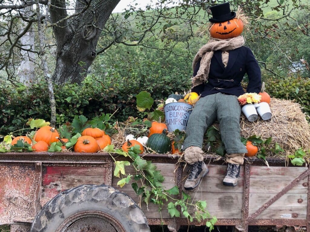 مزرعه کدو تنبل جنگلی ترسناک یکی از فستیوال‌ های پاییز ۲۰۲۵ ونکوور