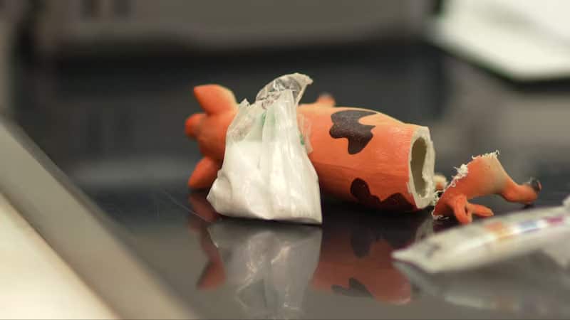 پلیس استرالیا به‌دنبال شبکه‌های وابسته به کارتل‌ های مکزیکی در کانادا