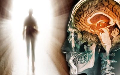 قبل از مرگ در مغز چه اتفاقی می‌افتد؟