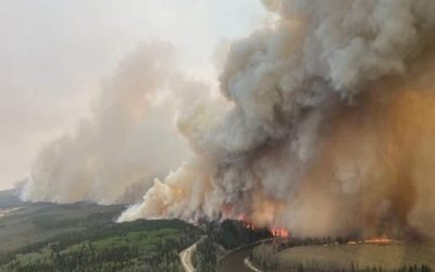 آلبرتا به دلیل شروع بی‌سابقه‌ی فصل آتش‌سوزی در جنگل‌ ها اعلام وضعیت اضطراری کرد