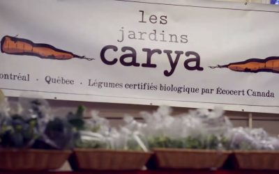 سوپ‌های آماده شرکت .Les Jardins Carya Inc را مصرف نکنید یا بازگردانید
