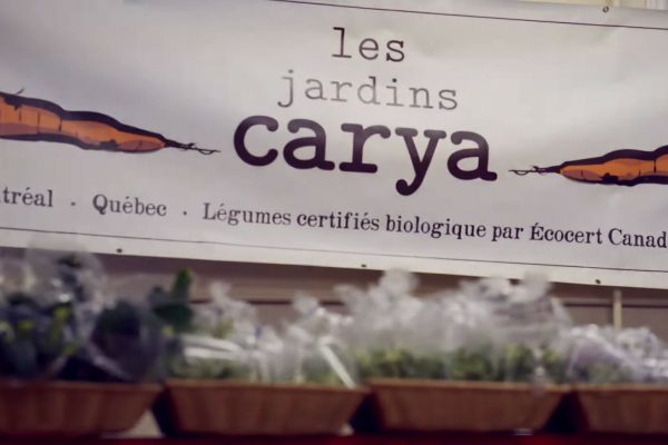 سوپ‌های آماده شرکت .Les Jardins Carya Inc را مصرف نکنید یا بازگردانید