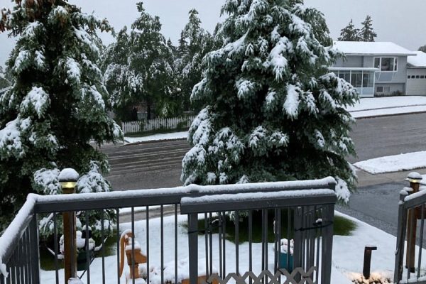 بارش برف بی‌سابقه در بریتیش کلمبیا و آلبرتا