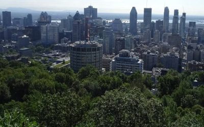 کاشت بیش از ٢٧٥ هزار درخت در مونترال برای مبارزه با تغییرات آب و هوایی