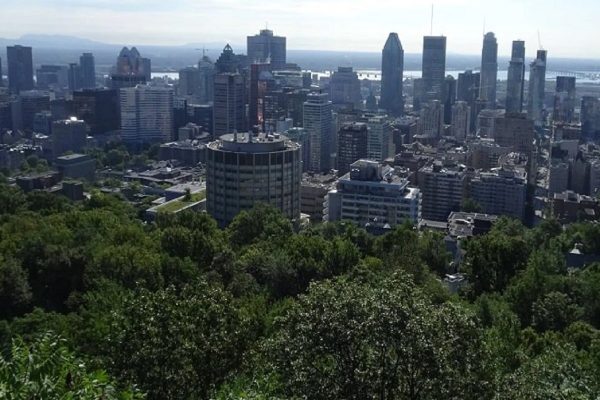 کاشت بیش از ٢٧٥ هزار درخت در مونترال برای مبارزه با تغییرات آب و هوایی کاشت بیش از ٢٧٥ هزار درخت در مونترال برای مبارزه با تغییرات آب و هوایی