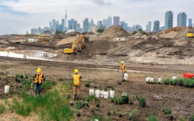 موجوداتی که بیش از یک قرن در خاک دفن شده بودند، در سواحل تورنتو زنده شدند