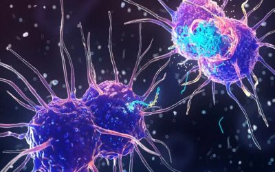 موارد سوزاک در مونترال به بالاترین حد در ۲۵ سال گذشته رسید موارد سوزاک در مونترال به بالاترین حد در ۲۵ سال گذشته رسید