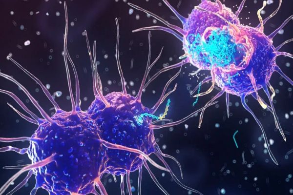 موارد سوزاک در مونترال به بالاترین حد در ۲۵ سال گذشته رسید موارد سوزاک در مونترال به بالاترین حد در ۲۵ سال گذشته رسید