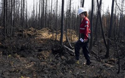 آیا کبک واقعا در قبال تغییرات اقلیمی جدی است؟