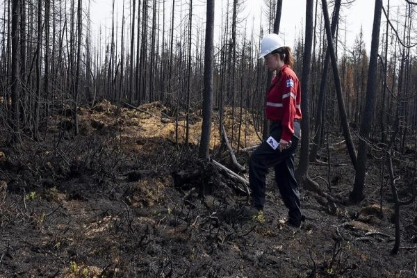 آیا کبک واقعا در قبال تغییرات اقلیمی جدی است؟