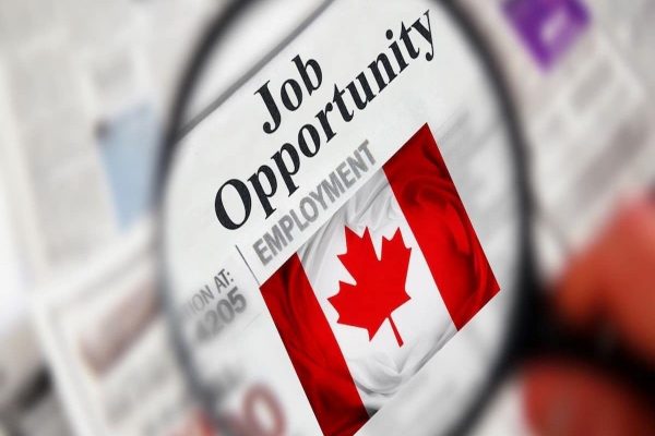 کاهش آگهیهای شغلی در کانادا و فرصتهای تازه برای مهاجران کاهش آگهیهای شغلی در کانادا و فرصتهای تازه برای مهاجران