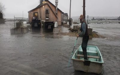 هشدار وقوع طوفان گرمسیری برای نوا اسکوشیا و نیوبرانزویک صادر شد