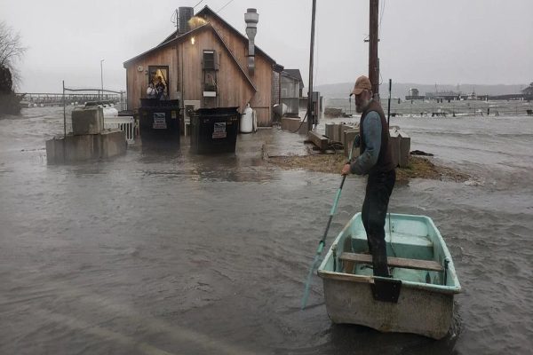 هشدار وقوع طوفان گرمسیری برای نوا اسکوشیا و نیوبرانزویک صادر شد
