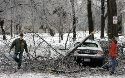 یخبندان شدید جنوب‌غرب انتاریو را فلج کرد؛ خسارات چند هفته‌ای و قطع گسترده برق