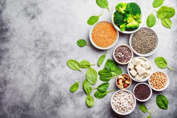 پروتئین های گیاهی را بشناسید