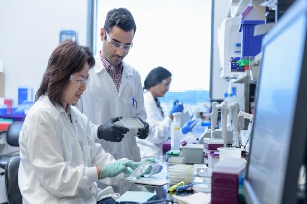 افزايش امید به درمان سرطان‌های تهاجمی با حذف DNA سرکش