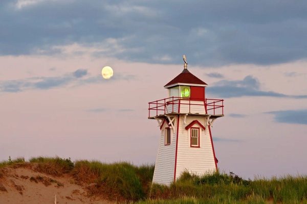 روز جهانی سفرهای پیکنیکی تابستان روز جهانی سفرهای پیکنیکی تابستان