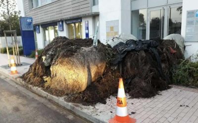 کشاورزان فرانسوی در اعتراض به توافق تجاری با کانادا ورودی دفتر نماینده حزب ماکرون را با فضولات حیوانی مسدود کردند