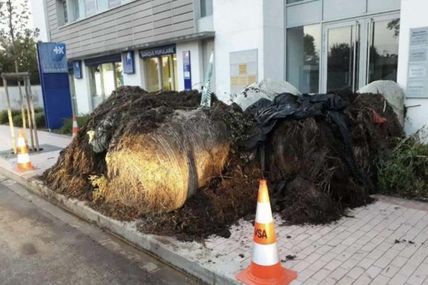 کشاورزان فرانسوی در اعتراض به توافق تجاری با کانادا ورودی دفتر نماینده حزب ماکرون را با فضولات حیوانی مسدود کردند