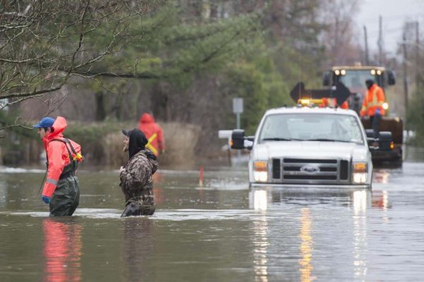 جریمه 2 هزار دلاری برای سلفی گرفتن با سیل کبک + ویدئو - اخبار کانادا - رسانه هدهد کانادا