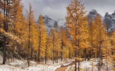 پيش‌بينی زمان بارش برف زودرس در کبک