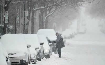 هشدار سرمای کبک: زمستان سارق آرامش پاییزی! هشدار سرمای کبک: زمستان سارق آرامش پاییزی!