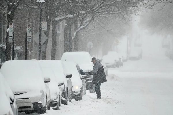 هشدار سرمای کبک: زمستان سارق آرامش پاییزی! هشدار سرمای کبک: زمستان سارق آرامش پاییزی!