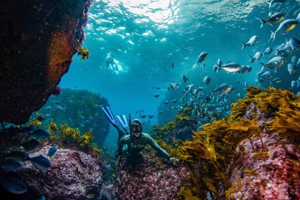 سرمایه‌گذاری دولت کبک بر روی تنوع زیستی در مناطق حفاظت شده دریایی