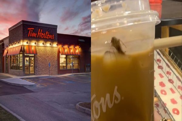 سوسک زنده در قهوه، شكايت عليه تيم‌ هورتز را به دنبال داشت