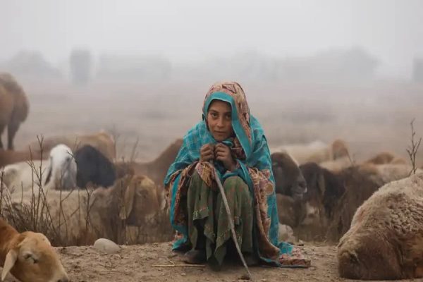 جهان به روایت تصویر: بهترین عکس ‌های خبری بین‌المللی هفته دوم ژانویه ٢٠٢٤