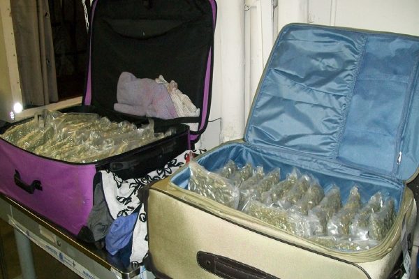 رسوایی باربران فرودگاه تورنتو پیش از انتقال ماریجواناهای قاچاق